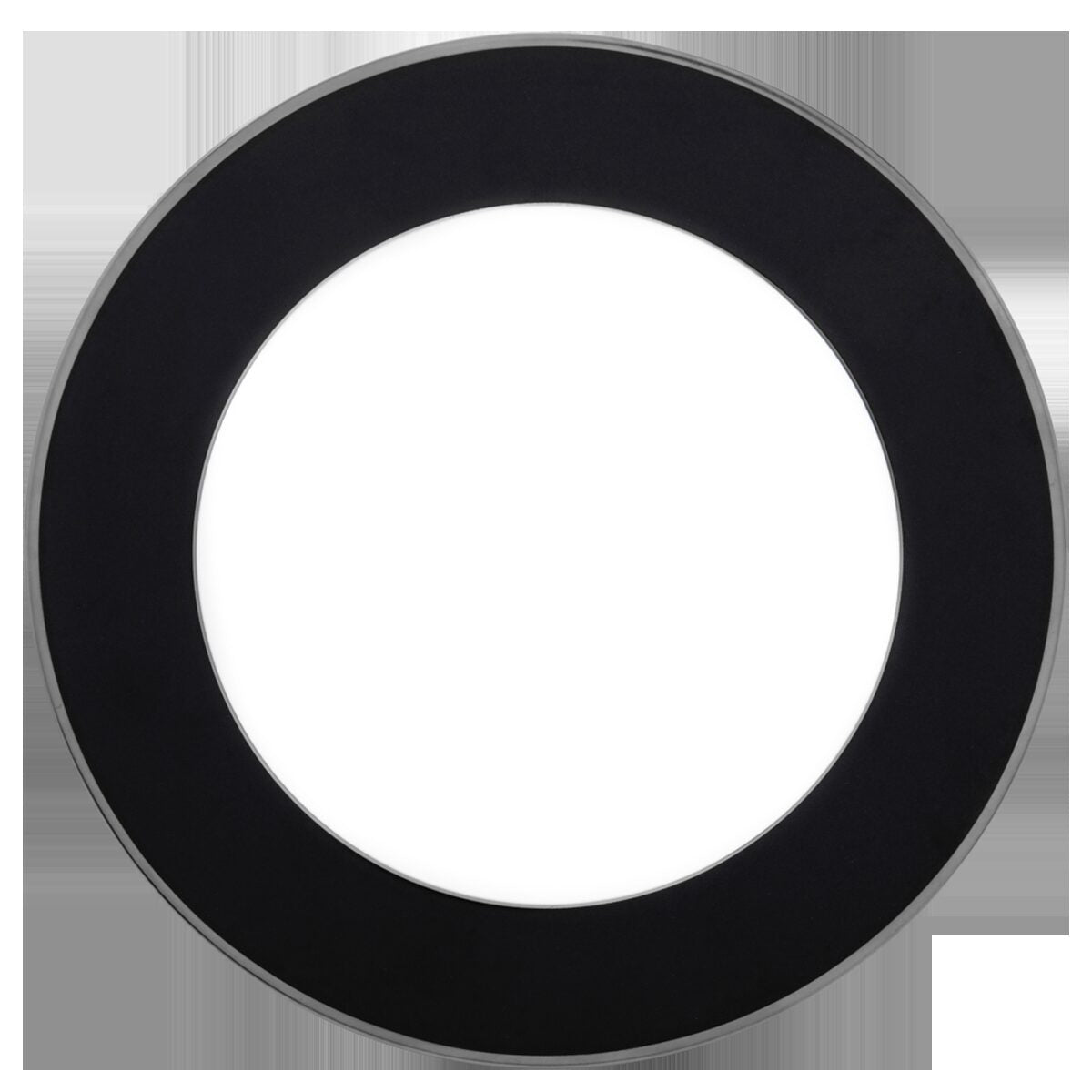Haviland Les Présentations Mica Black Platinum Service Plate