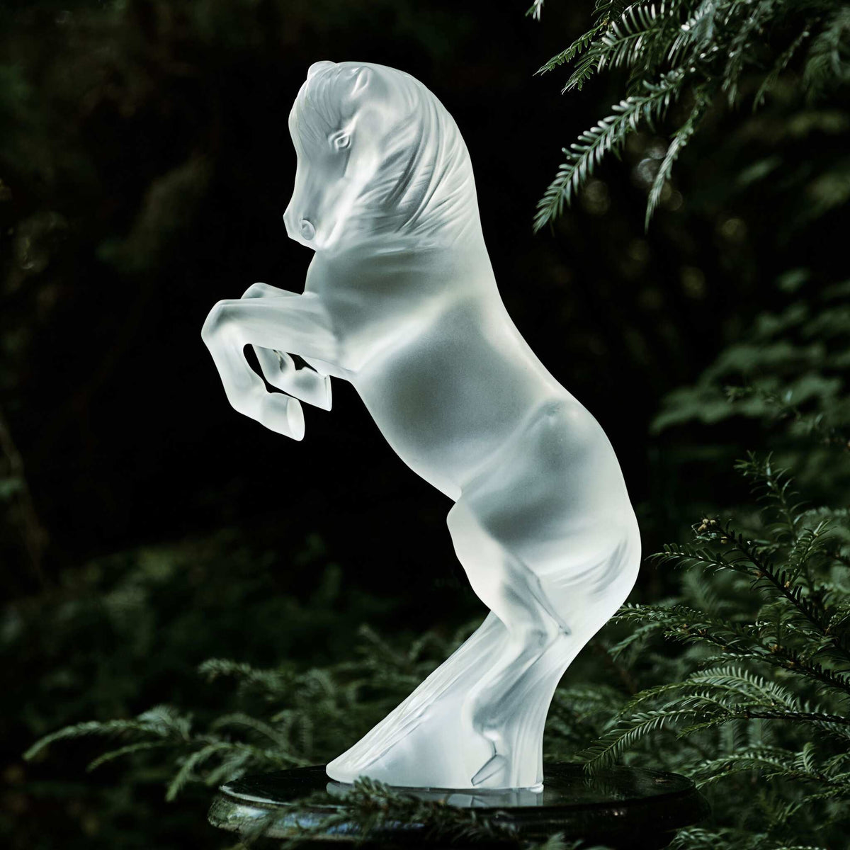 Lalique Prancing Horse Sculpture, Large Size, alternate view