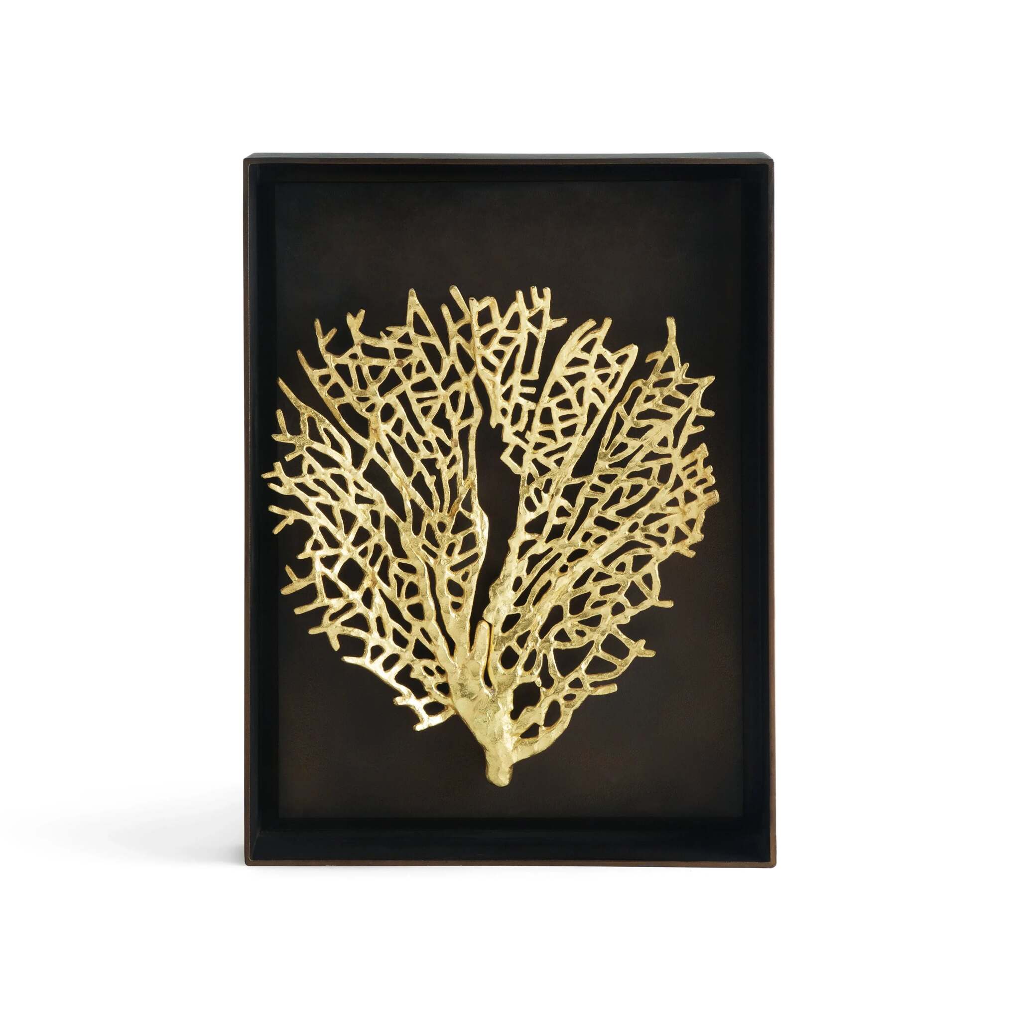 Michael Aram Fan Coral Shadow Box Wall Sculpture β Silver