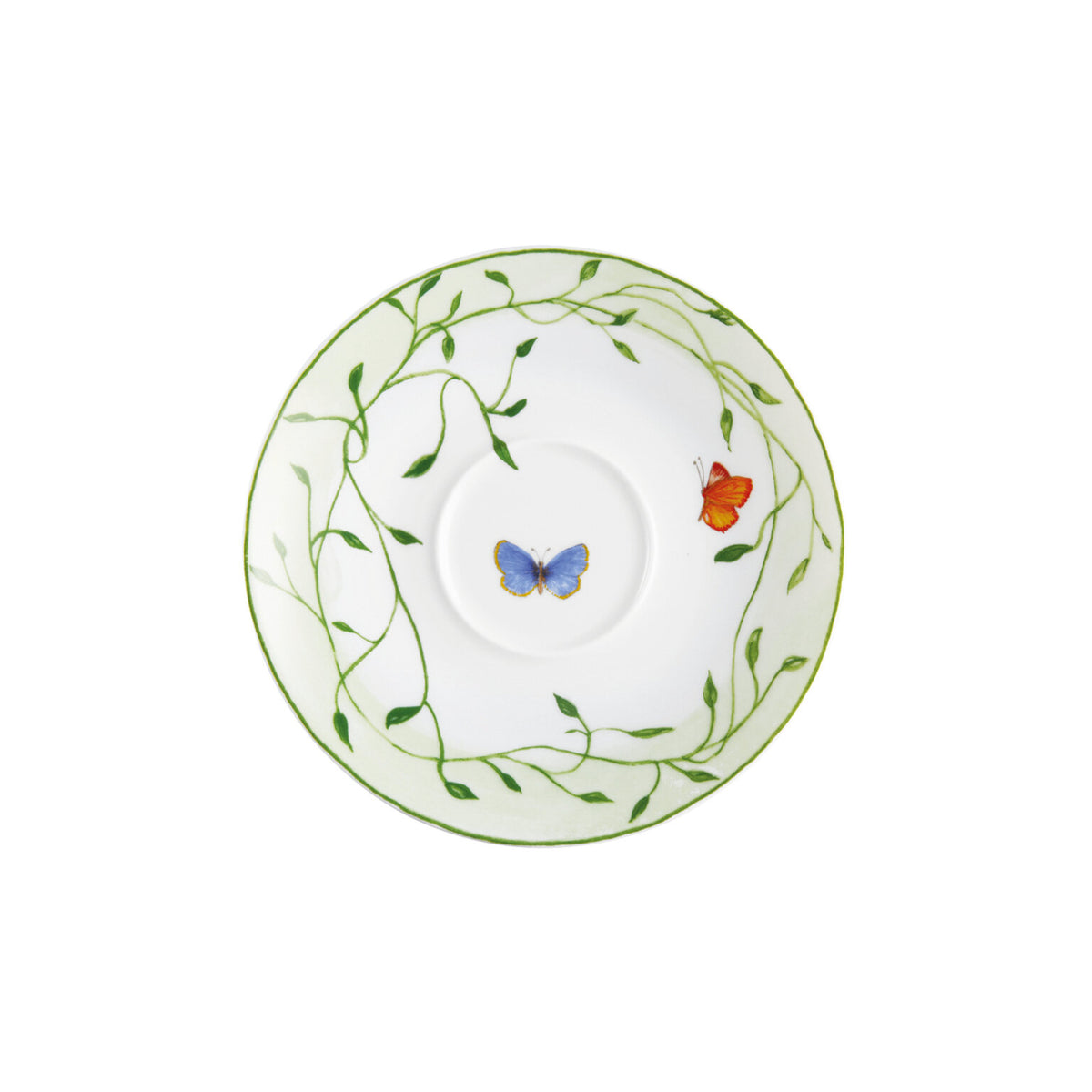 Raynaud Histoire Naturelle Saucer, 7 in