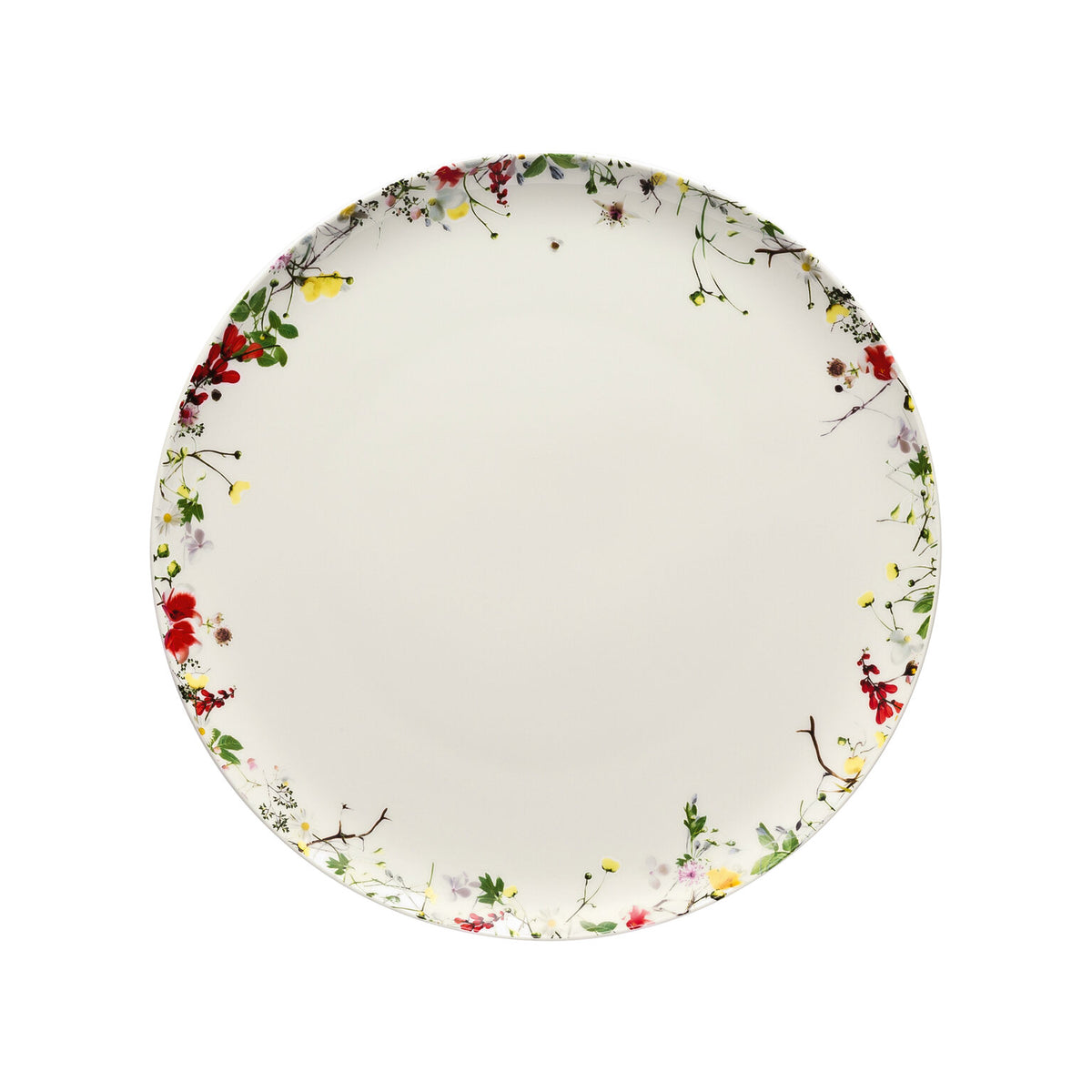 Rosenthal Brillance Bone China Fleurs Sauvages Dinner Plate, 10 5/8 in