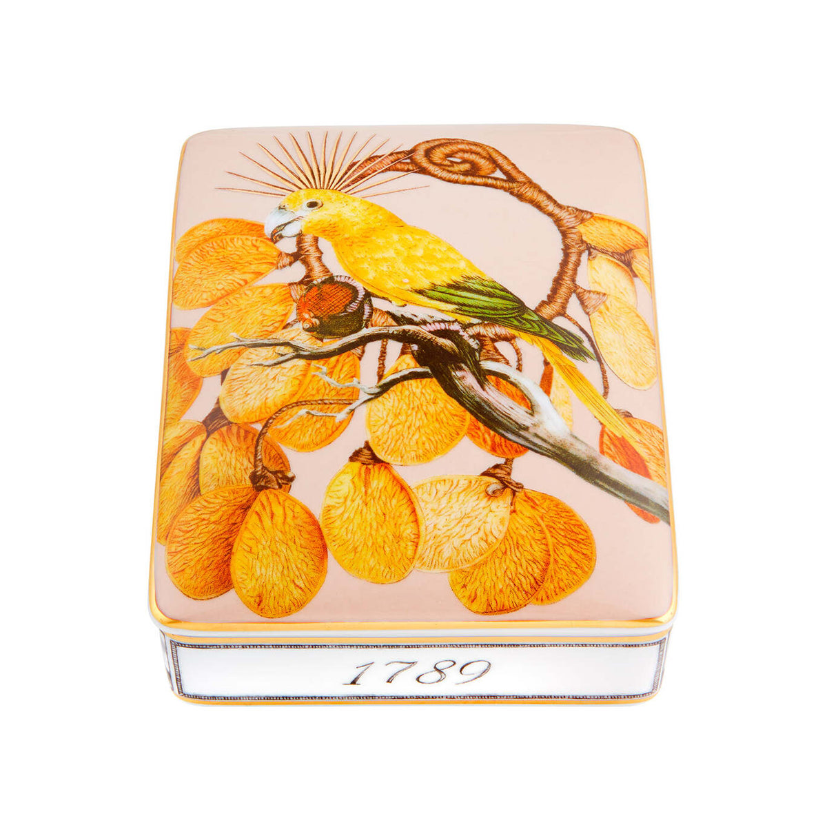 Vista Alegre Amazónia Card Box Sementes on a white background