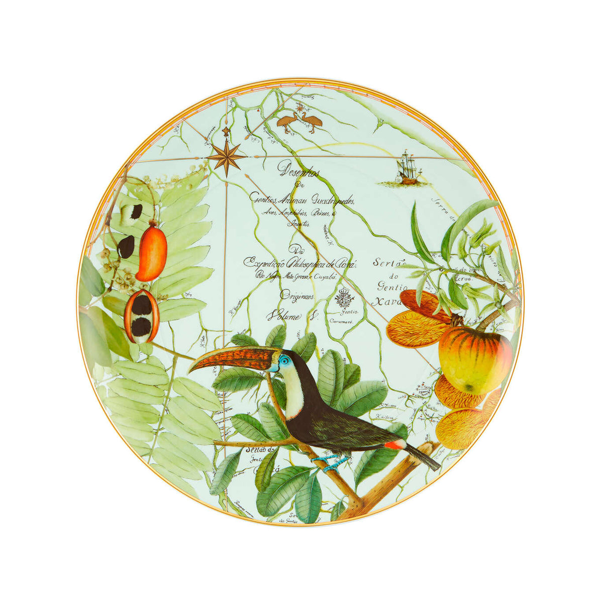 Vista Alegre Amazónia XL Plate on a white background