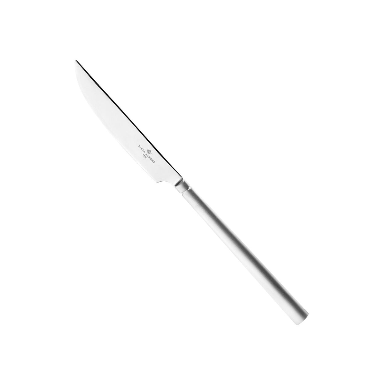 Vista Alegre Domo Matte Table Knife on a white background
