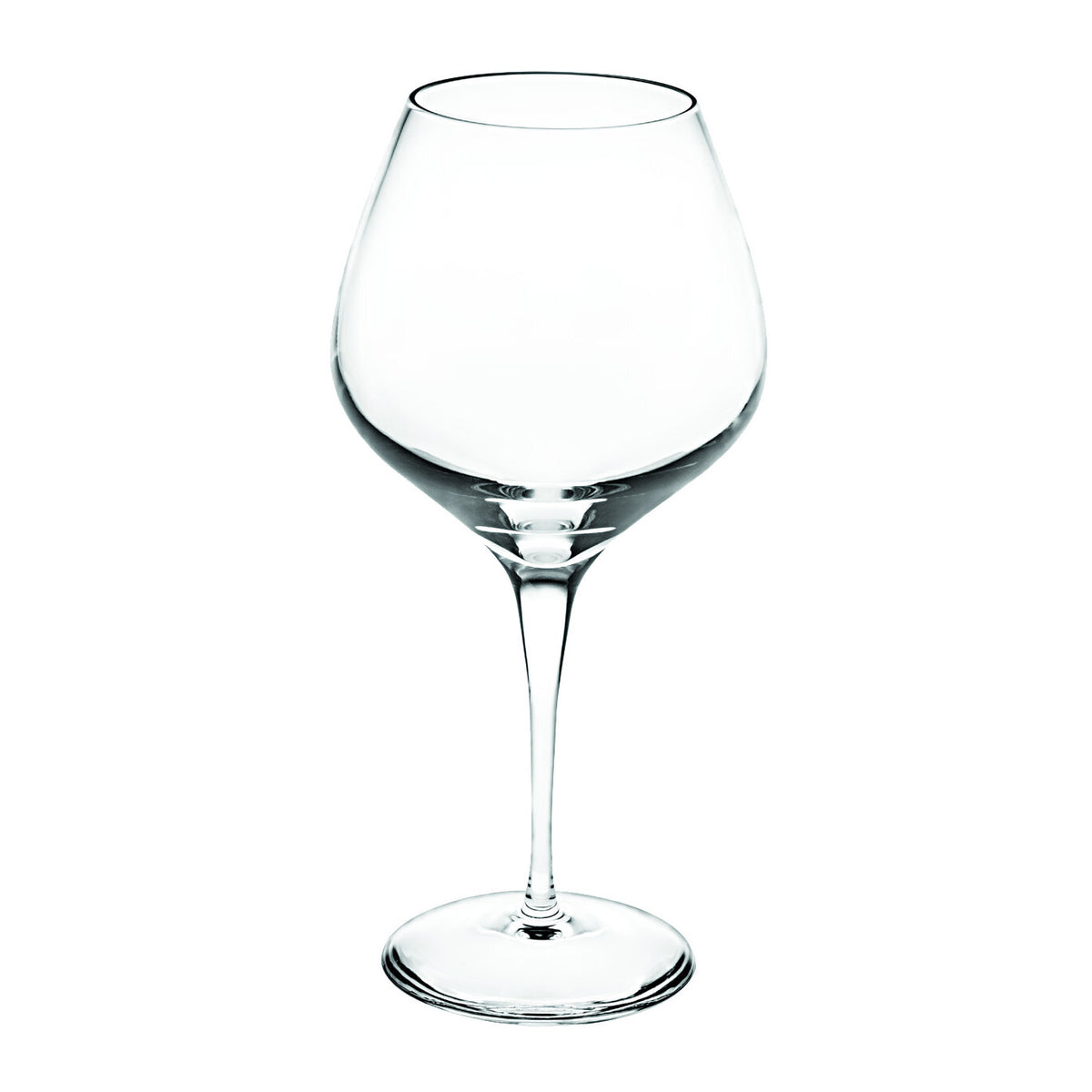 Vista Alegre Lybra Large Red Wine Goblet on a white background
