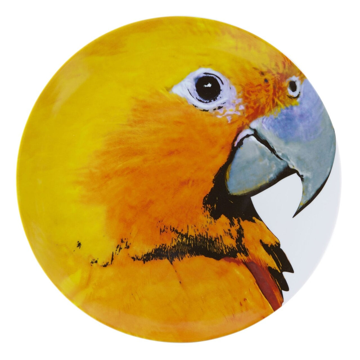 Vista Alegre Olhar o Brasil Charger Plate Guaruba on a white background