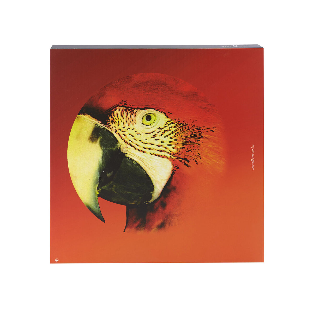 Vista Alegre Olhar o Brasil Charger Plate Red Macaw, view 2