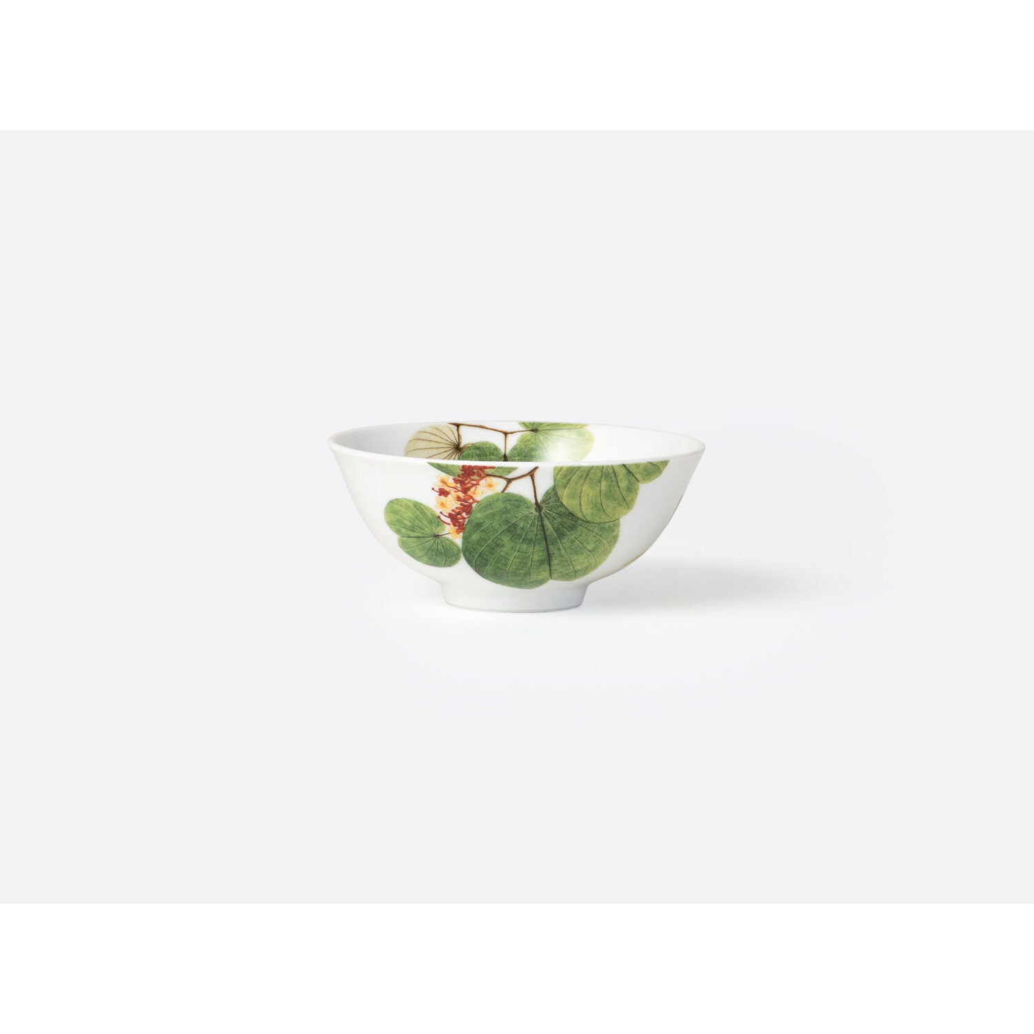 Bernardaud Jardin Indien