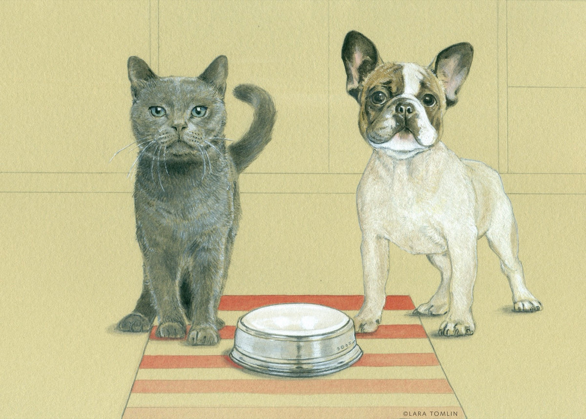 Match Pewter pet bowl illustration with a cat and a dog