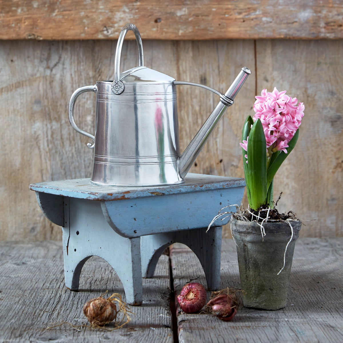 Match Pewter watering can with hyacinths