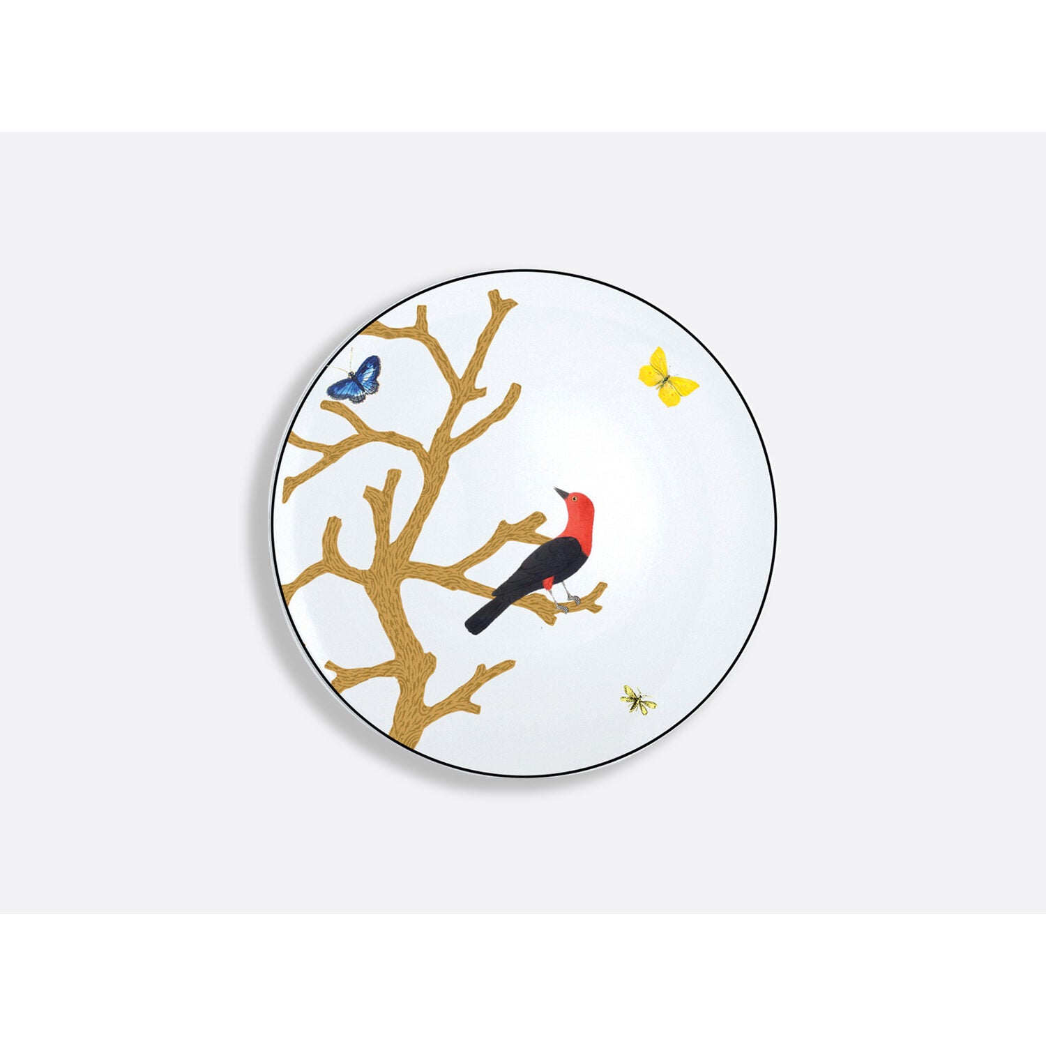 Bernardaud Bread and butter plate 6.3", Limoges porcelain, Aux Oiseaux collection, on a white background