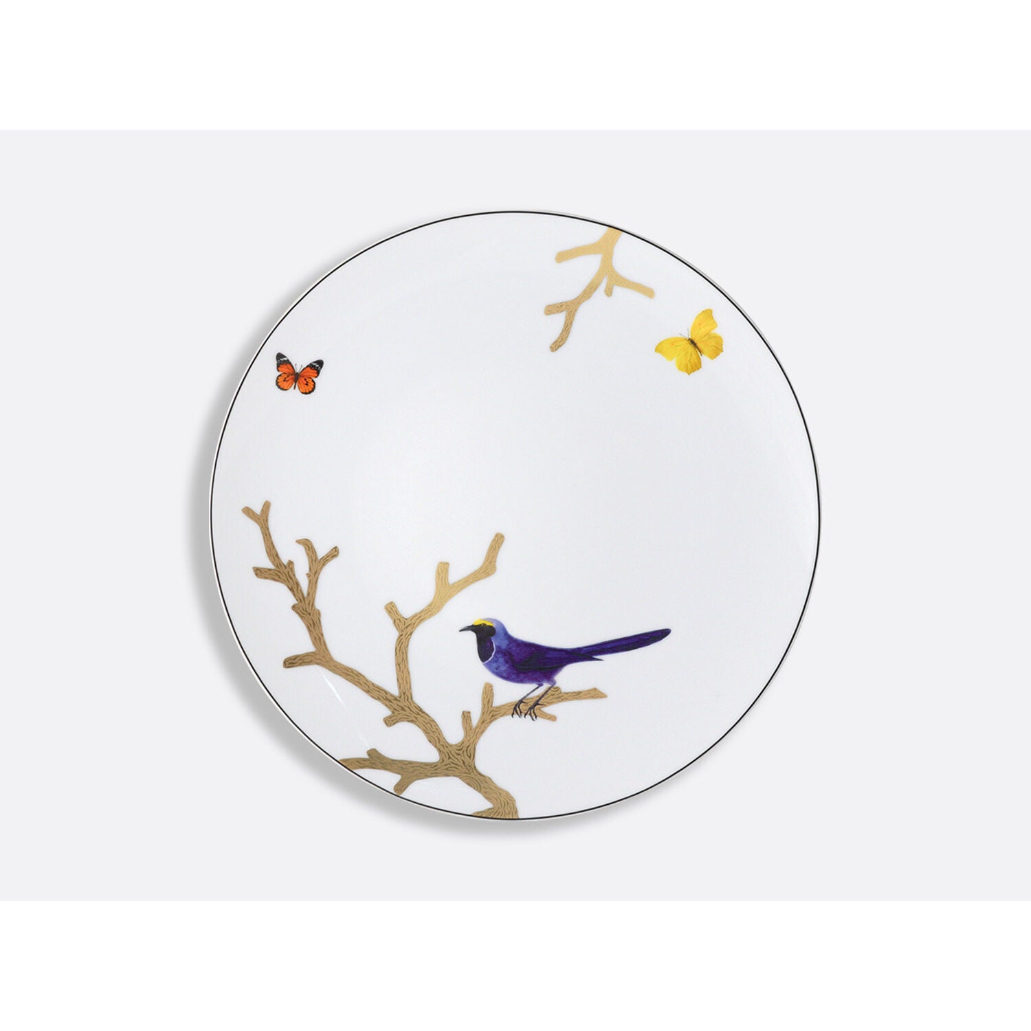 Bernardaud Dinner plate 10.5", Limoges porcelain, Aux Oiseaux collection, on a white background