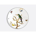 Bernardaud Dinner plate 10.6" "Perruche Verte", Limoges porcelain, Aux Oiseaux collection, on a white background