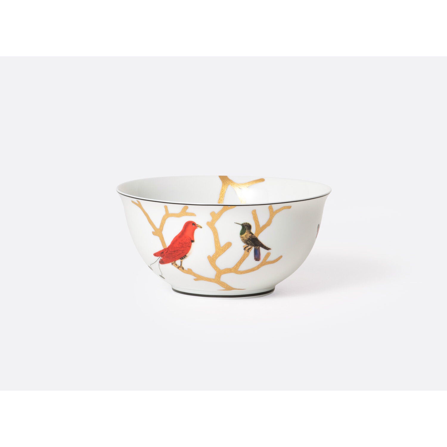 Bernardaud Noodle bowl 17 oz, Limoges porcelain, Aux Oiseaux collection, on a white background