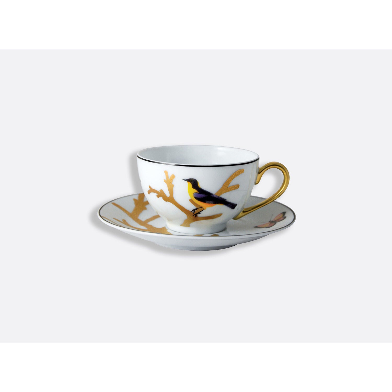 Bernardaud Tea cup and saucer 4.5 oz, Limoges porcelain, Aux Oiseaux collection, on a white background