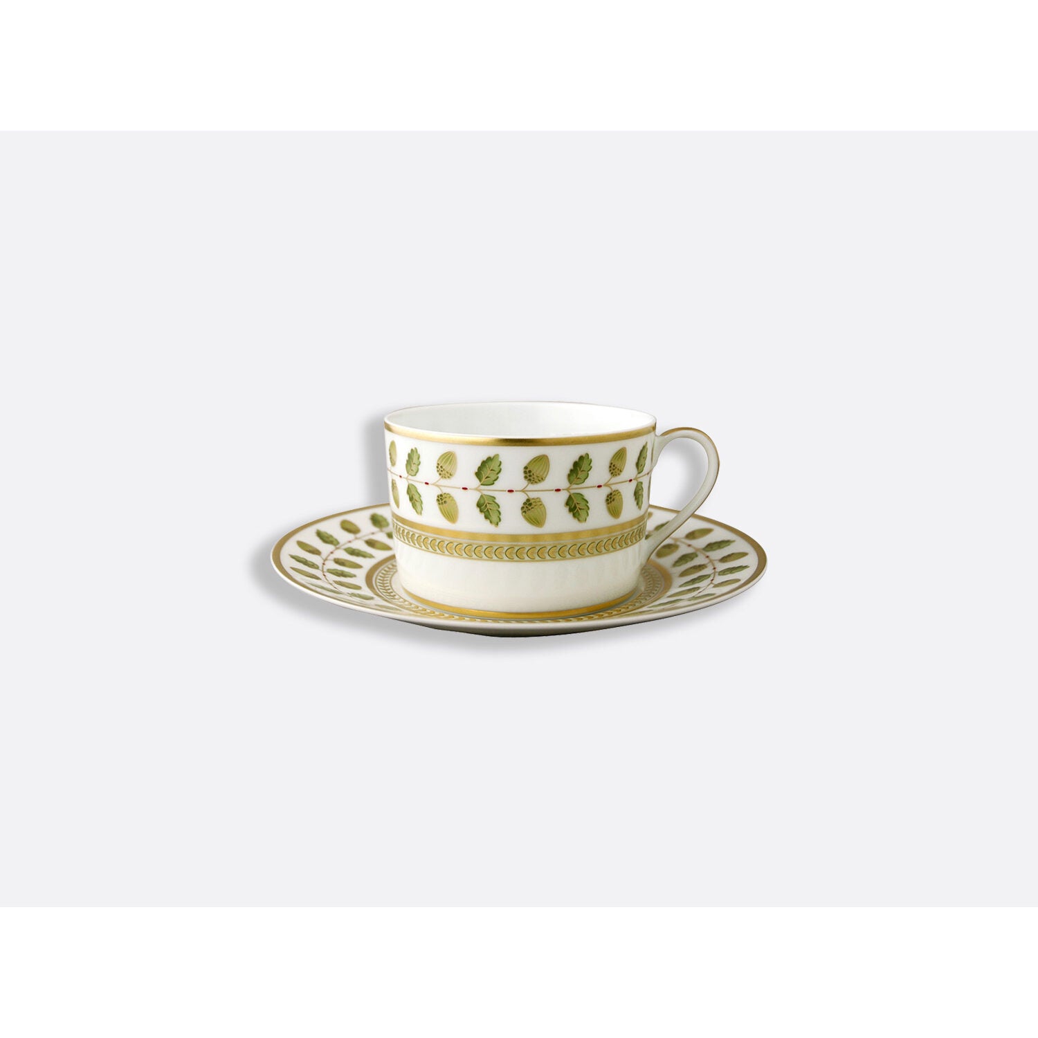 Bernardaud Tea cup and saucer 5 oz, Limoges porcelain, Constance collection, on a white background