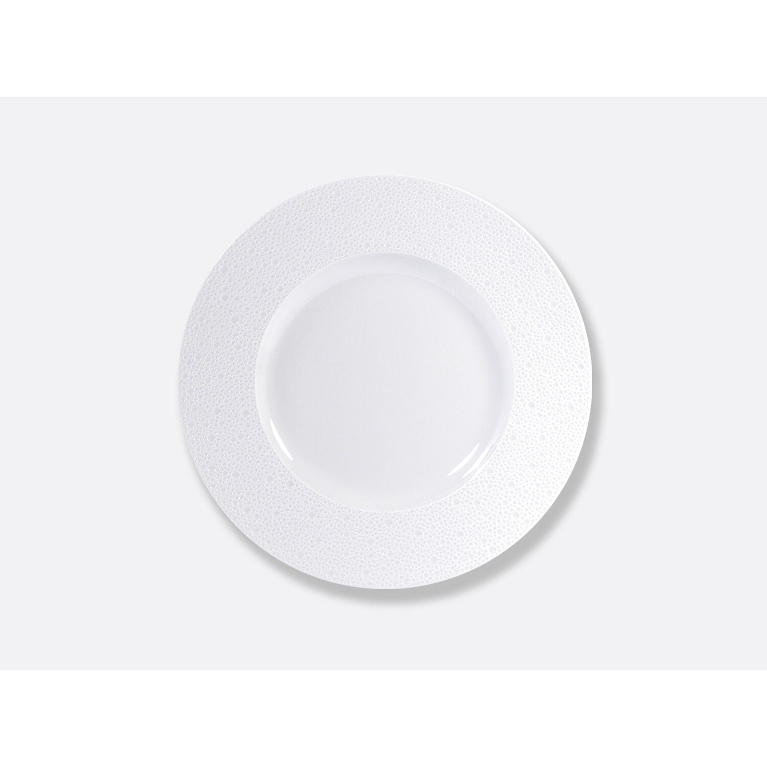 Bernardaud Plate 11.5", Limoges porcelain, Ecume collection, on a white background