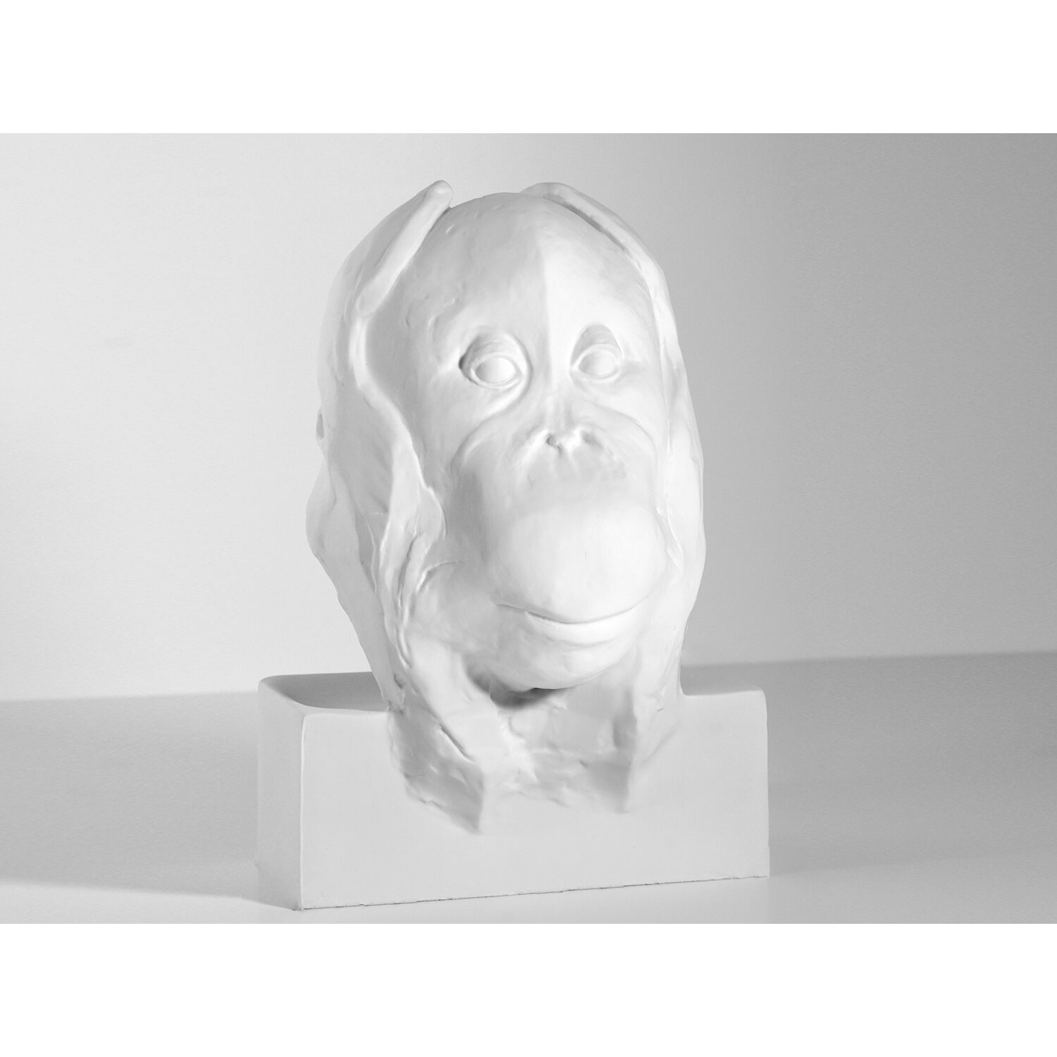 Bernardaud Porcelain edition, Limoges porcelain, François Pompon collection, on a white background