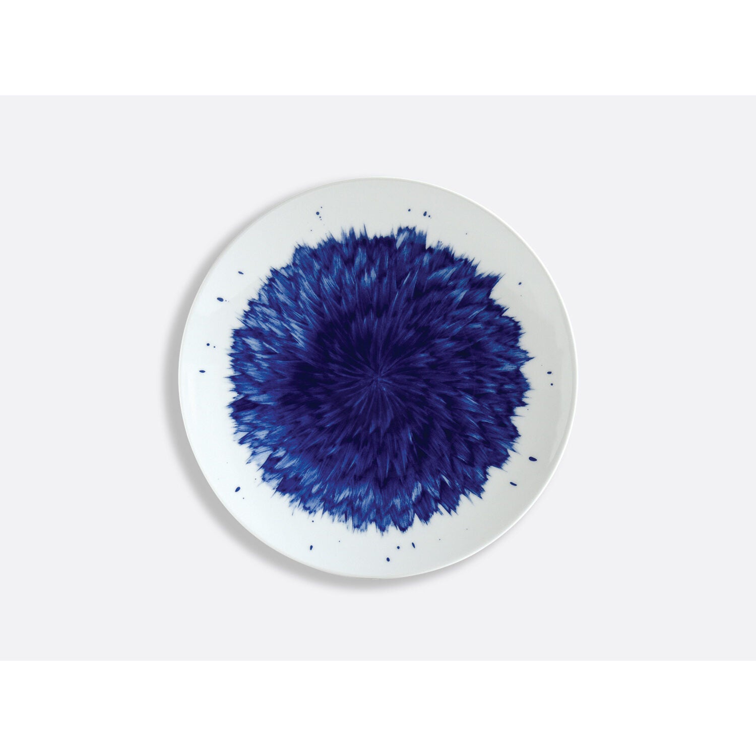 Bernardaud Set of 6 salad plates 8.5", Limoges porcelain, In Bloom collection, detail view