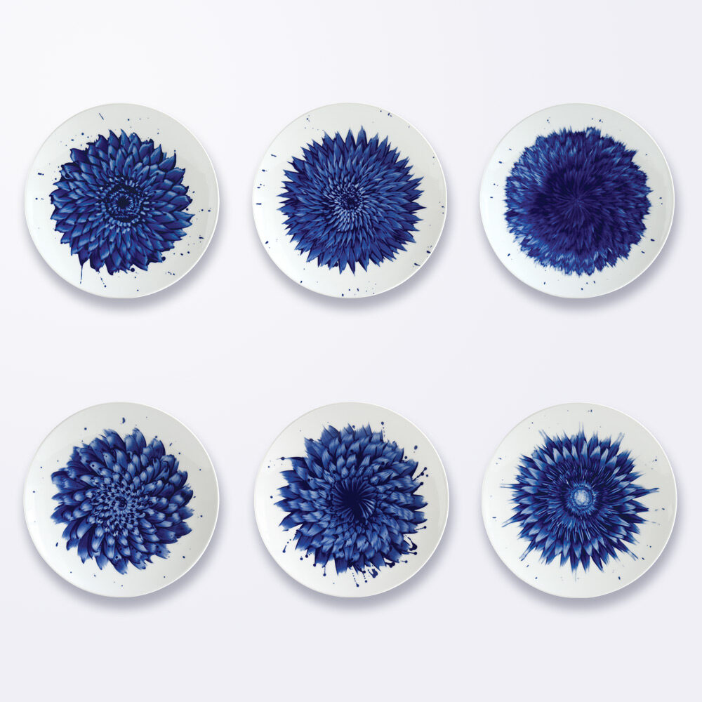 Bernardaud Set of 6 salad plates 8.5", Limoges porcelain, In Bloom collection, on a white background