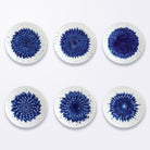 Bernardaud Set of 6 salad plates 8.5", Limoges porcelain, In Bloom collection, on a white background