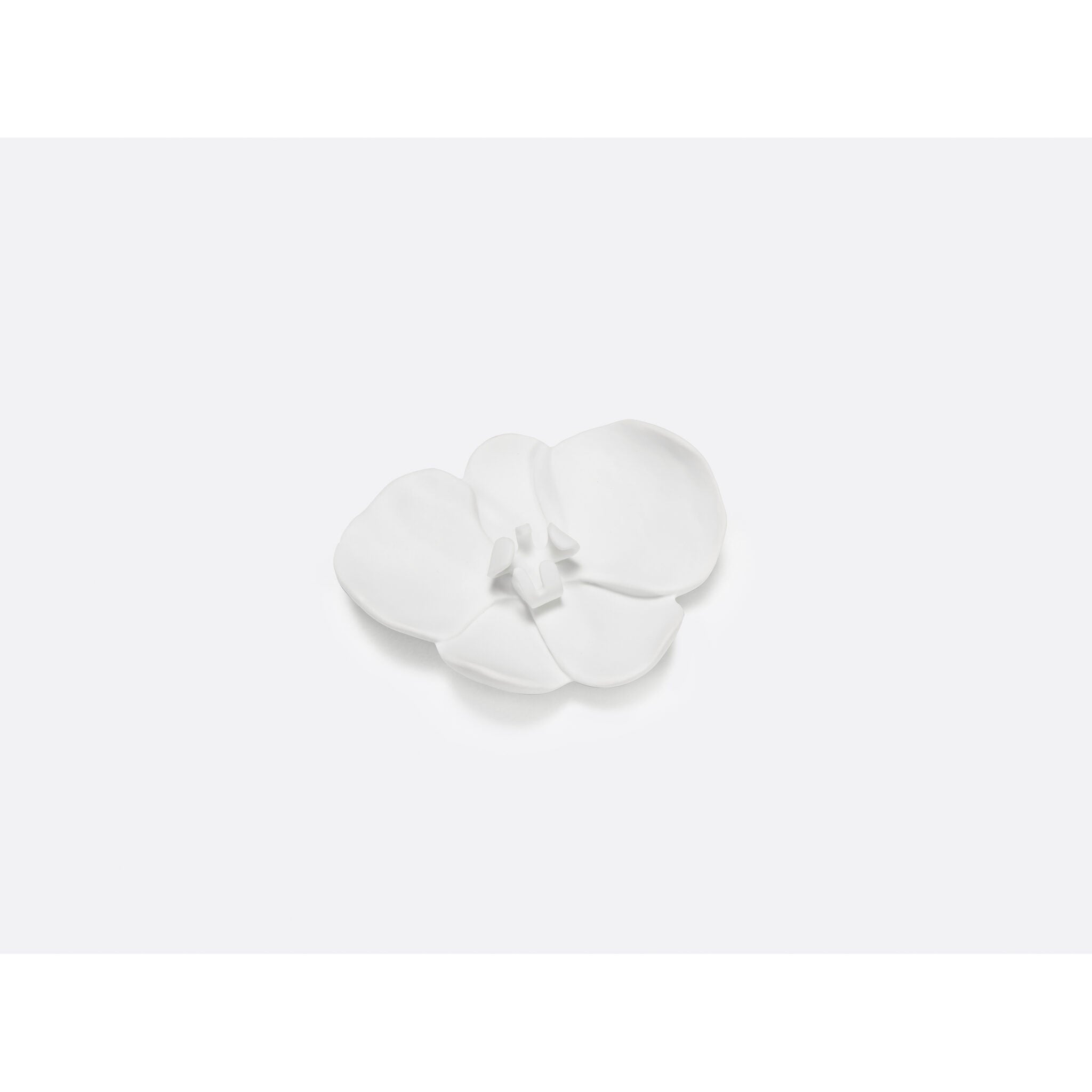 Bernardaud Ran - Orchid, Limoges porcelain, Jardin de Table - Kazuyo Sejima collection, on a white background