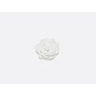 Bernardaud Tsubaki - Camellia, Limoges porcelain, Jardin de Table - Kazuyo Sejima collection, on a white background
