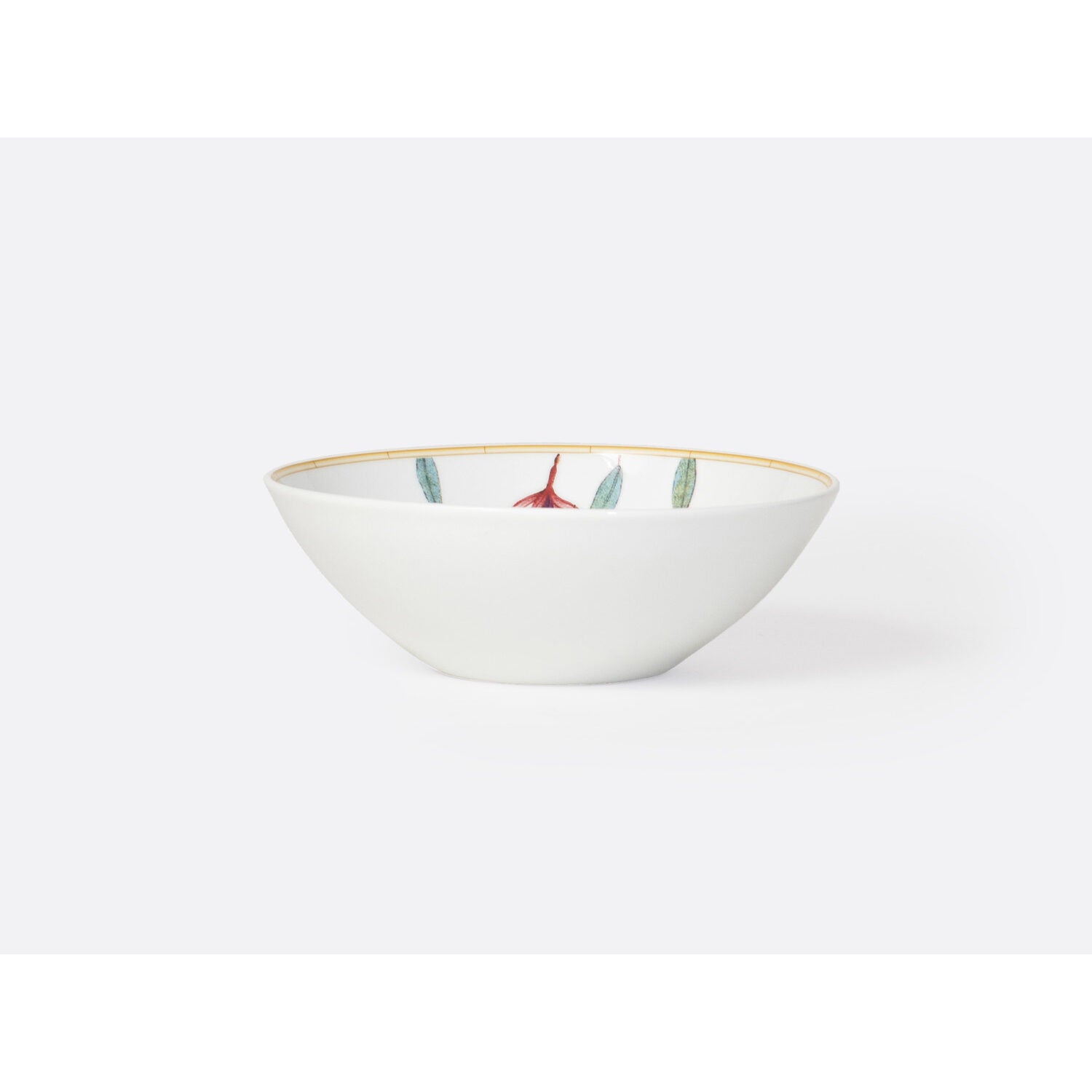 Bernardaud Cereal bowl 10 oz, Limoges porcelain, Jardin Indien collection, on a white background