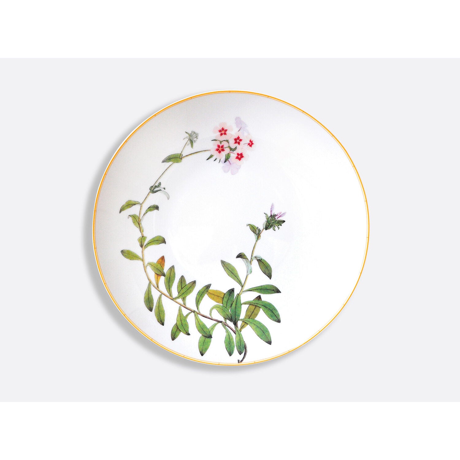 Bernardaud Deep round dish 11.5", Limoges porcelain, Jardin Indien collection, on a white background