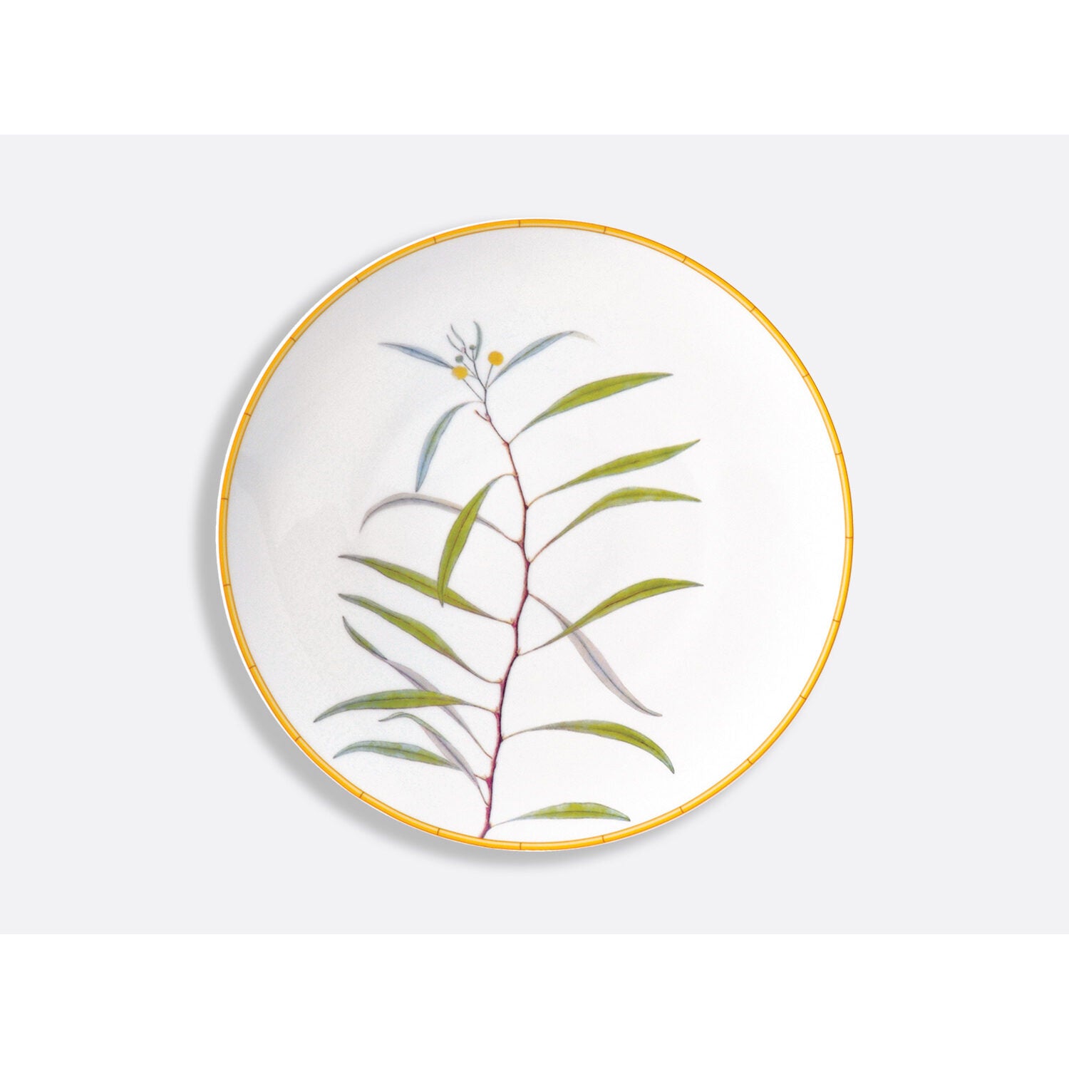 Bernardaud Dinner plate 10.6", Limoges porcelain, Jardin Indien collection, on a white background