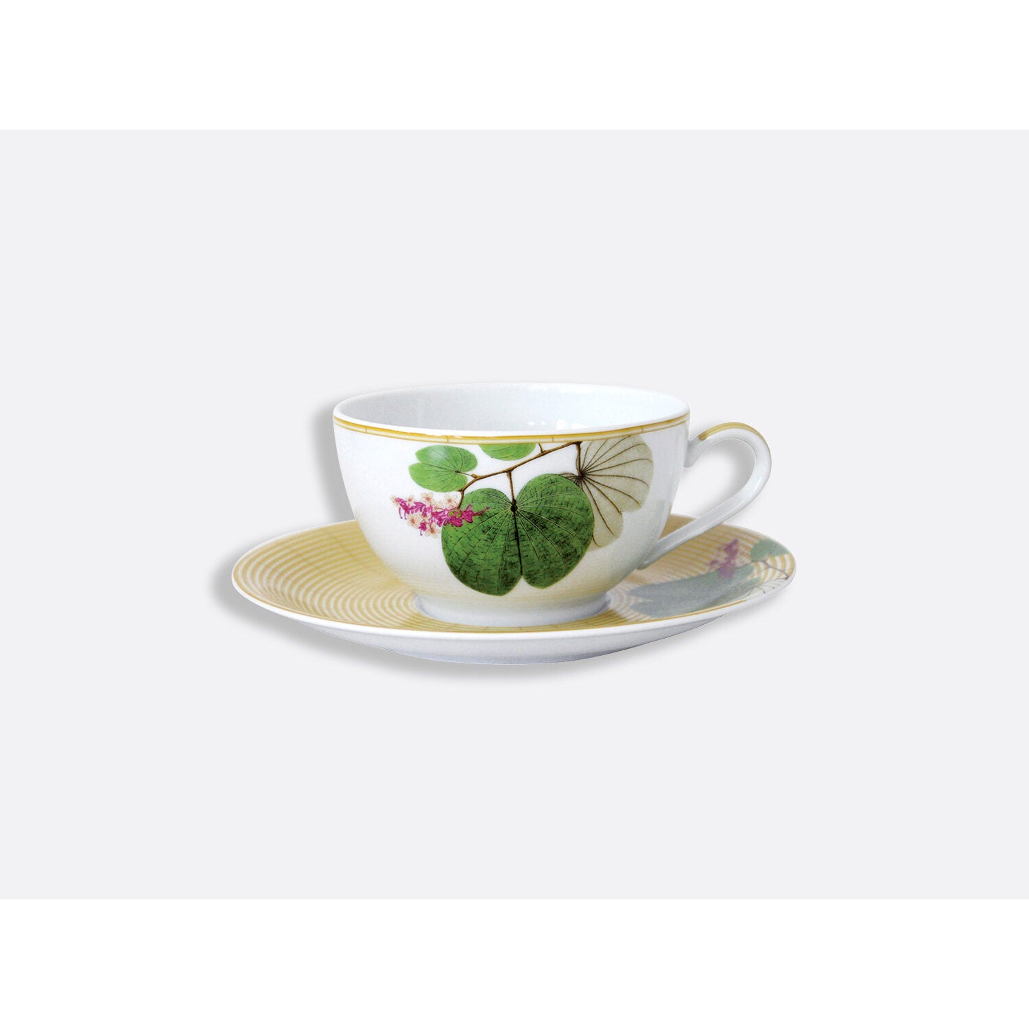 Bernardaud Gift box set of 2 cups and saucers 10 oz, Limoges porcelain, Jardin Indien collection, detail view