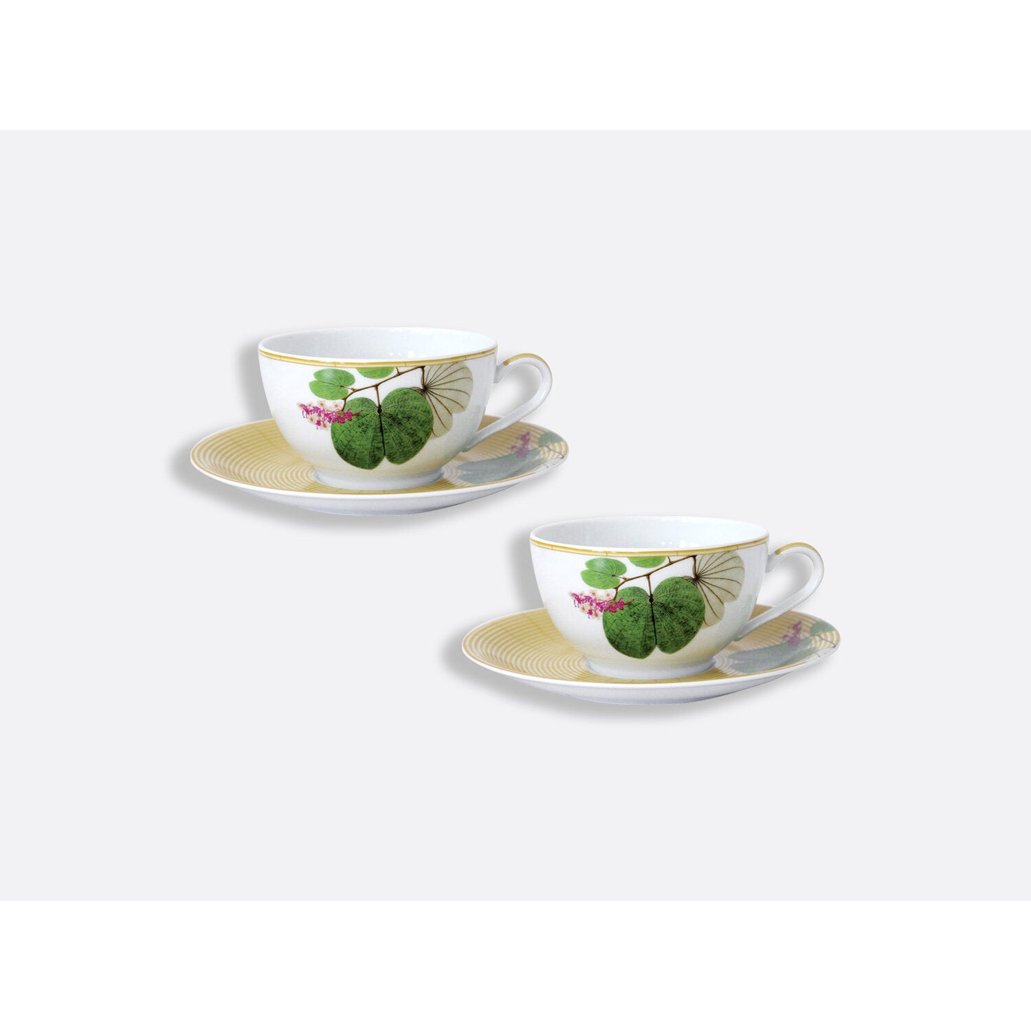 Bernardaud Gift box set of 2 cups and saucers 10 oz, Limoges porcelain, Jardin Indien collection, on a white background