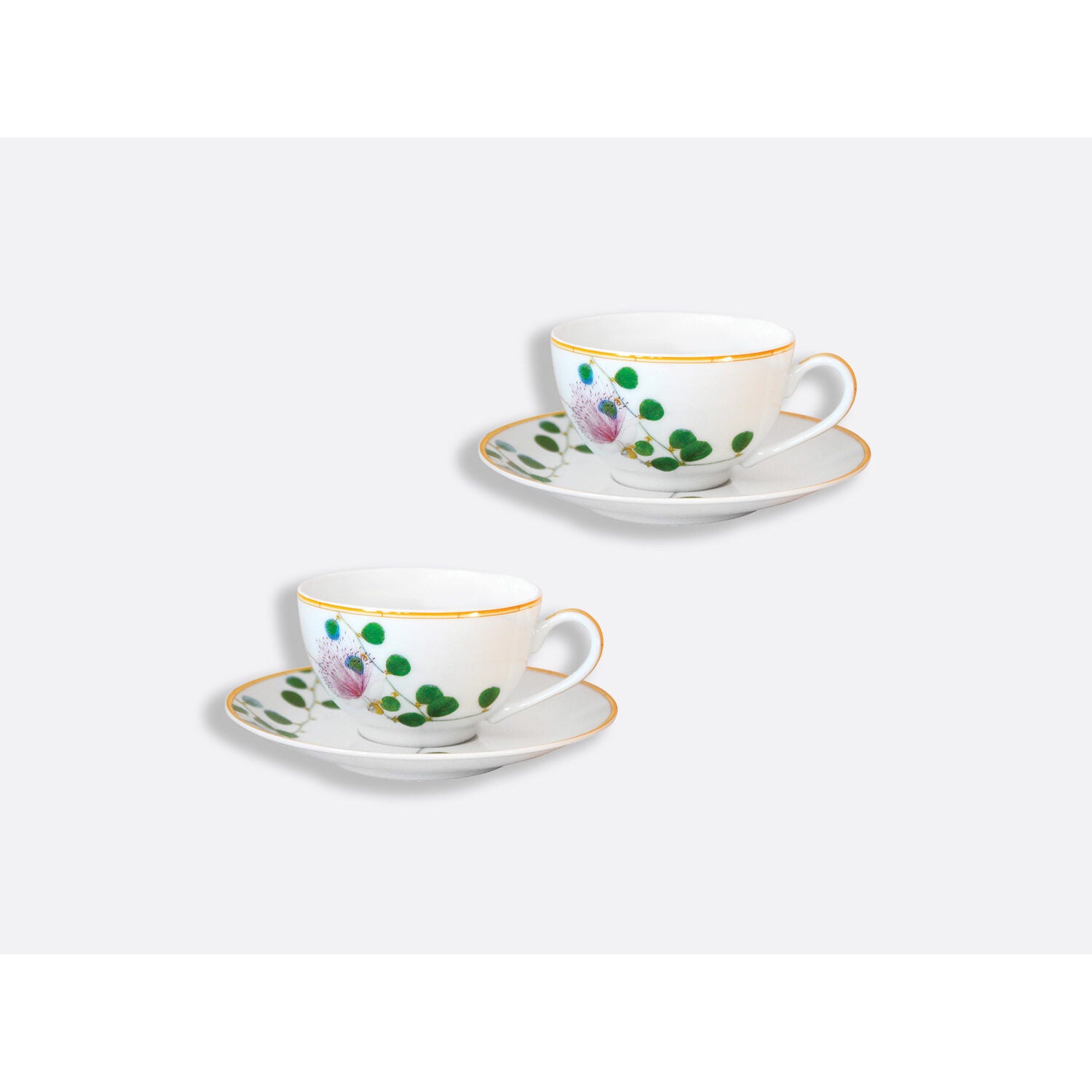 Bernardaud Tea cup and saucer 4.5 oz, Limoges porcelain, Jardin Indien collection, detail view