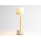 Bernardaud Sauvage gold, Limoges porcelain, LED Lamp collection, on a white background