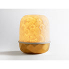 Bernardaud Zinnias Gold in Gold, Limoges porcelain, LED Lampion collection, on a white background