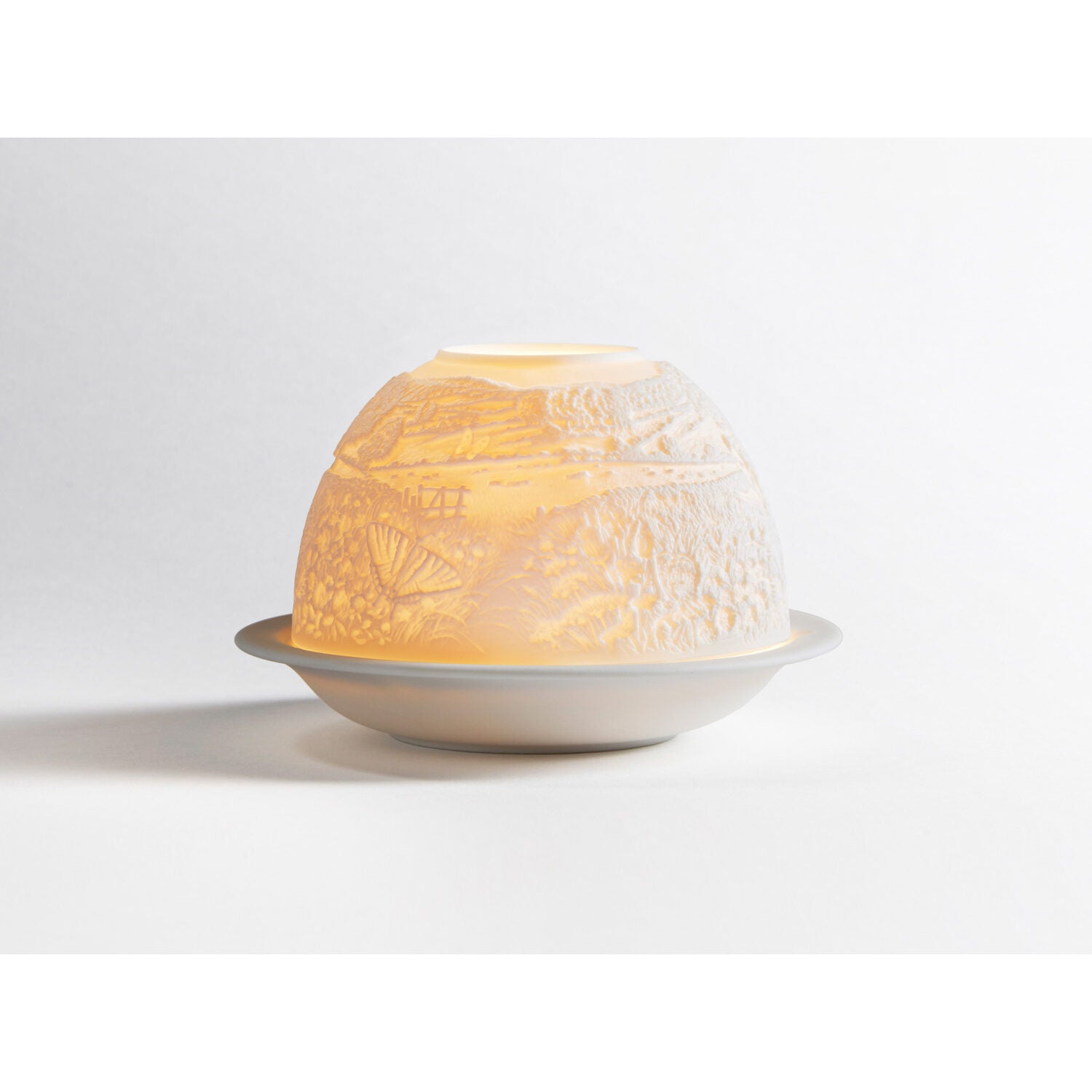 Bernardaud Butterflies Led, Limoges porcelain, LED Votivelights collection, on a white background