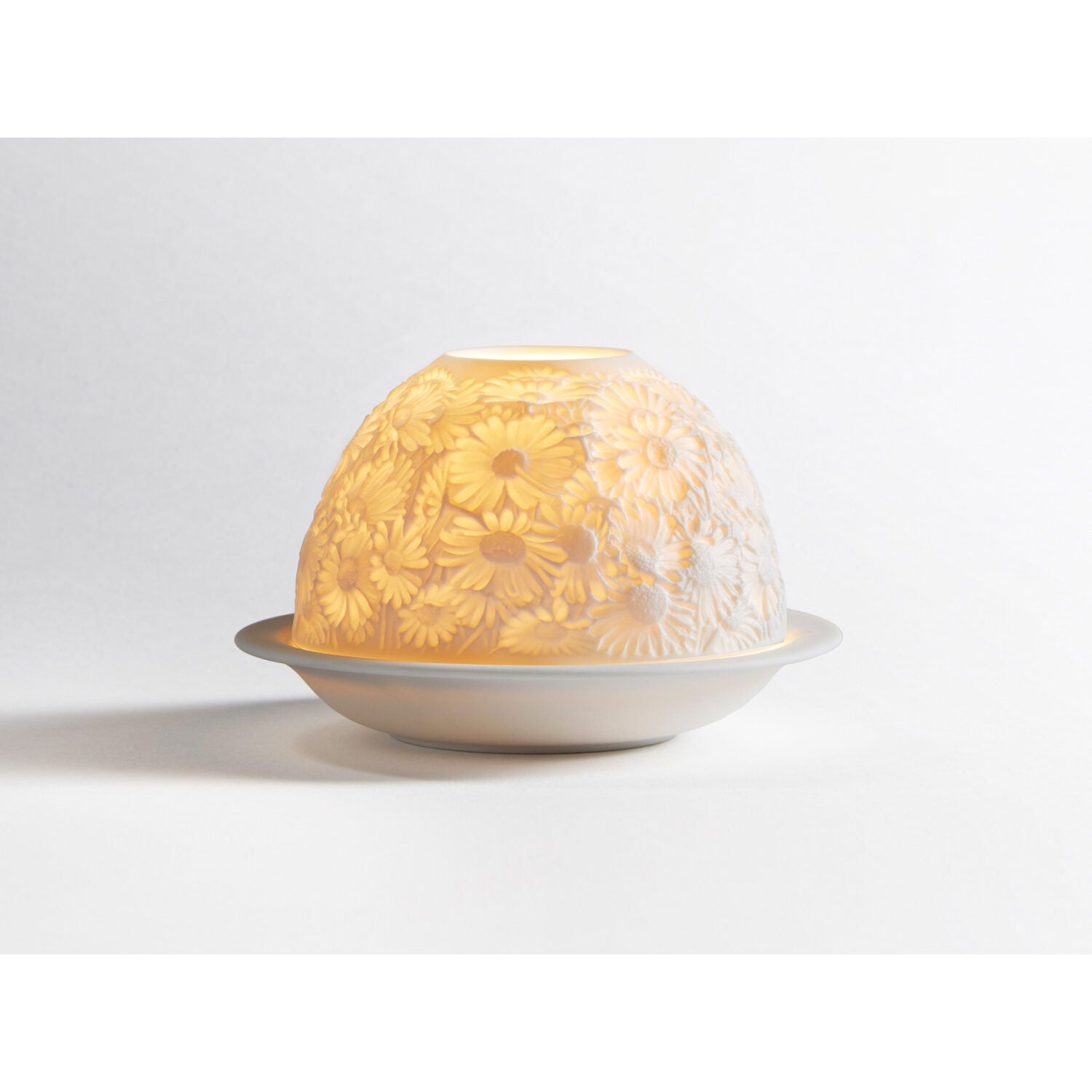 Bernardaud Daisies Led, Limoges porcelain, LED Votivelights collection, on a white background
