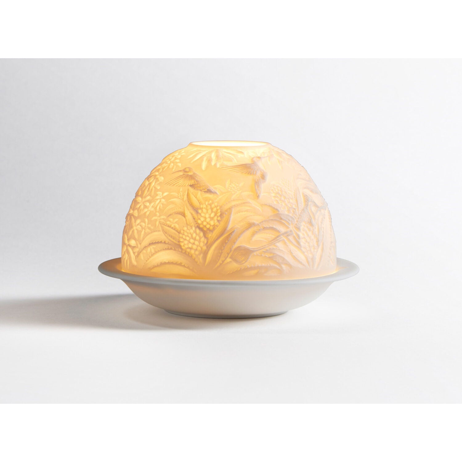 Bernardaud Hummingbirds Led, Limoges porcelain, LED Votivelights collection, on a white background