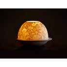 Bernardaud Orchids, Limoges porcelain, Lithophanies JP collection, detail view
