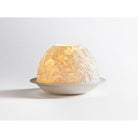 Bernardaud Orchids, Limoges porcelain, Lithophanies JP collection, on a white background
