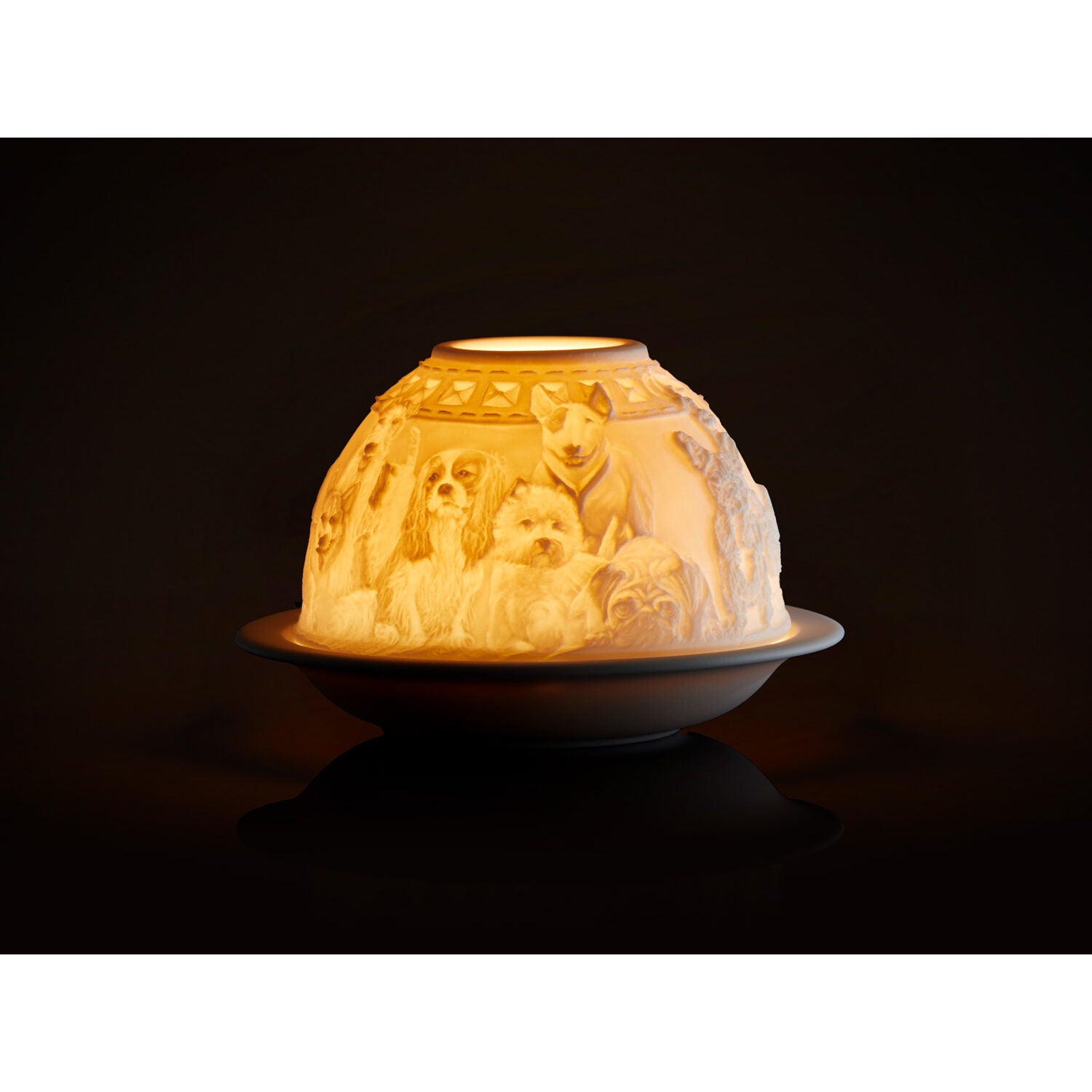 Bernardaud Dogs Led, Limoges porcelain, Lithophanies LED JP collection, detail view