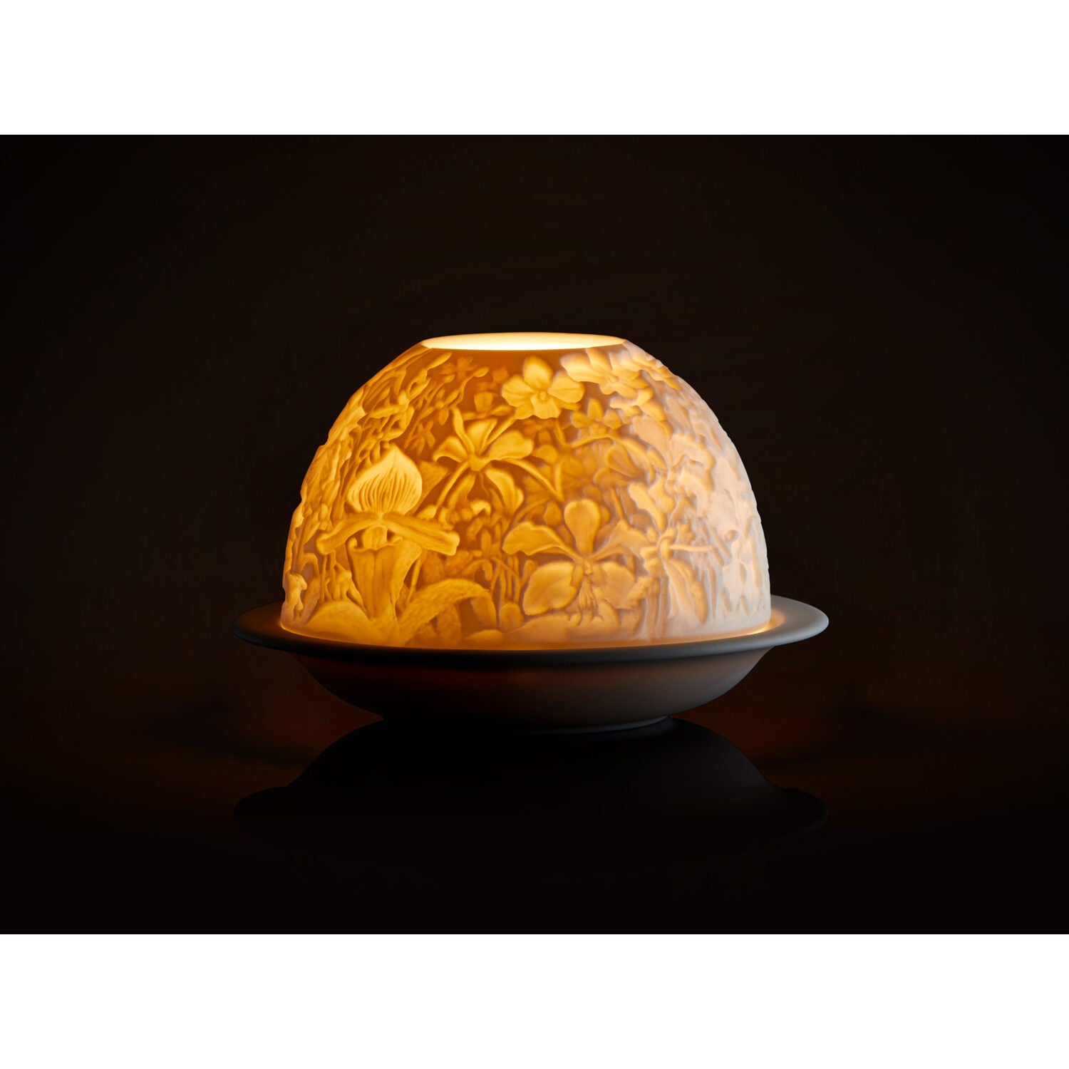Bernardaud Orchids Led, Limoges porcelain, Lithophanies LED JP collection, detail view
