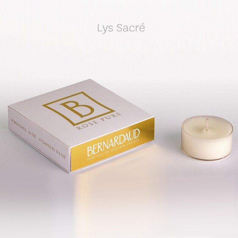 Bernardaud Refill for votivelights - box of 4 sacred lily in Sacred Lily, Limoges porcelain, Lucioles collection, on a white background