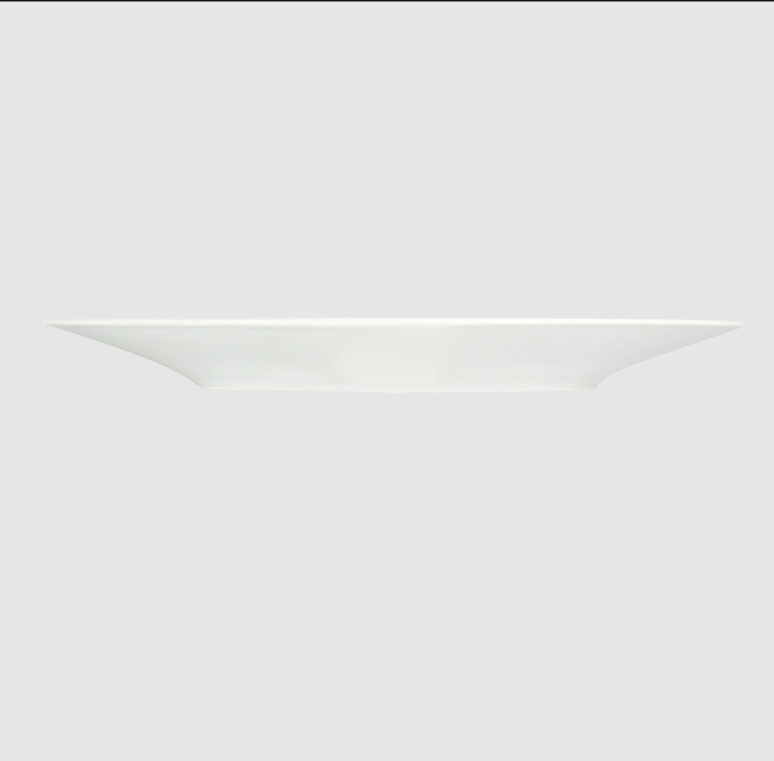bernardaud-organza-coupe-service-plate-11.6in-5602-20524-paris-tableware-side-view