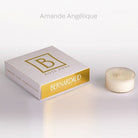 Bernardaud Refill for votivelights - box of 4 angelic almond, Limoges porcelain, on a white background