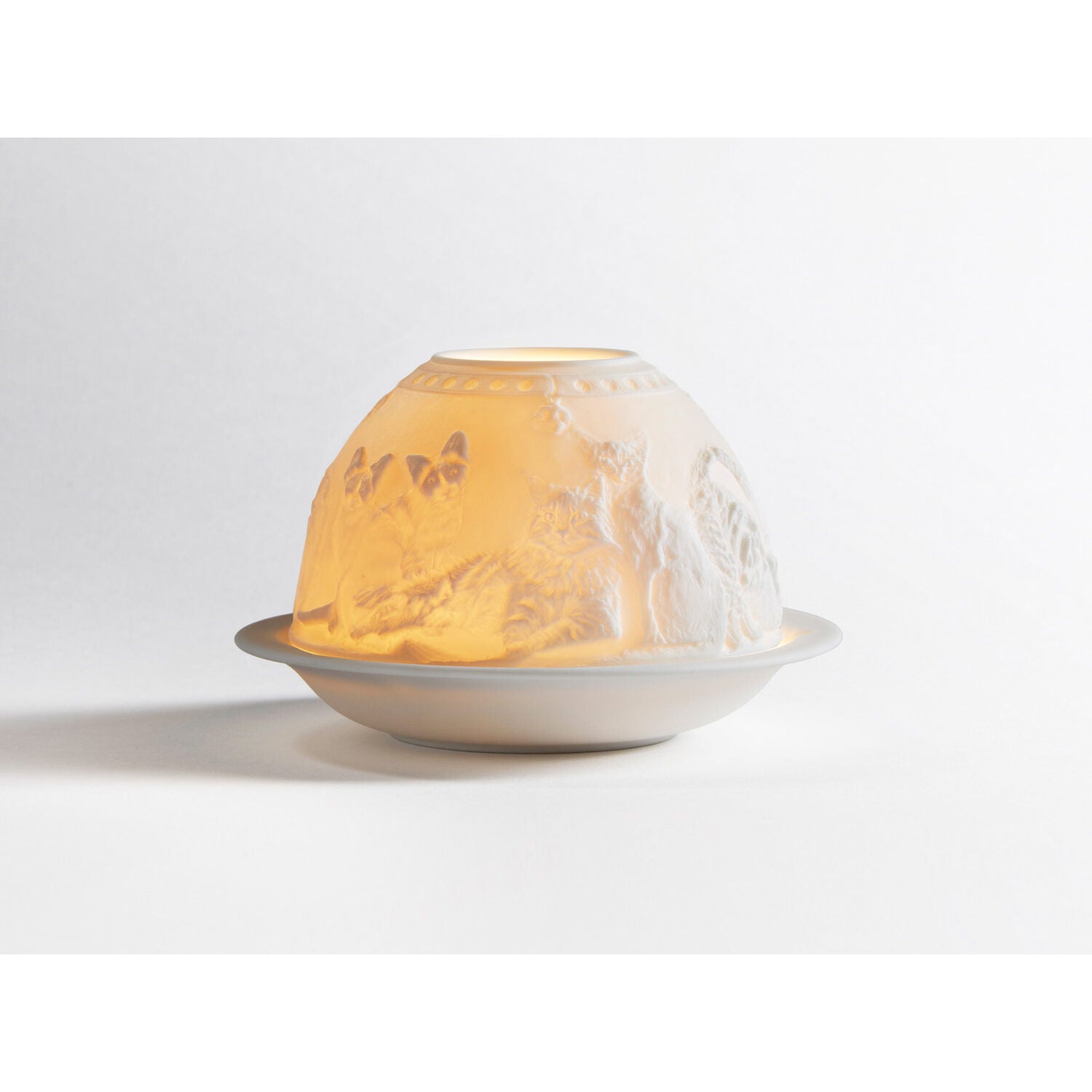 Bernardaud Cats Led, Limoges porcelain, Saint Valentin JP collection, on a white background