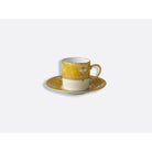 Bernardaud Espresso cup and saucer 3 oz, Limoges porcelain, Splendid collection, on a white background