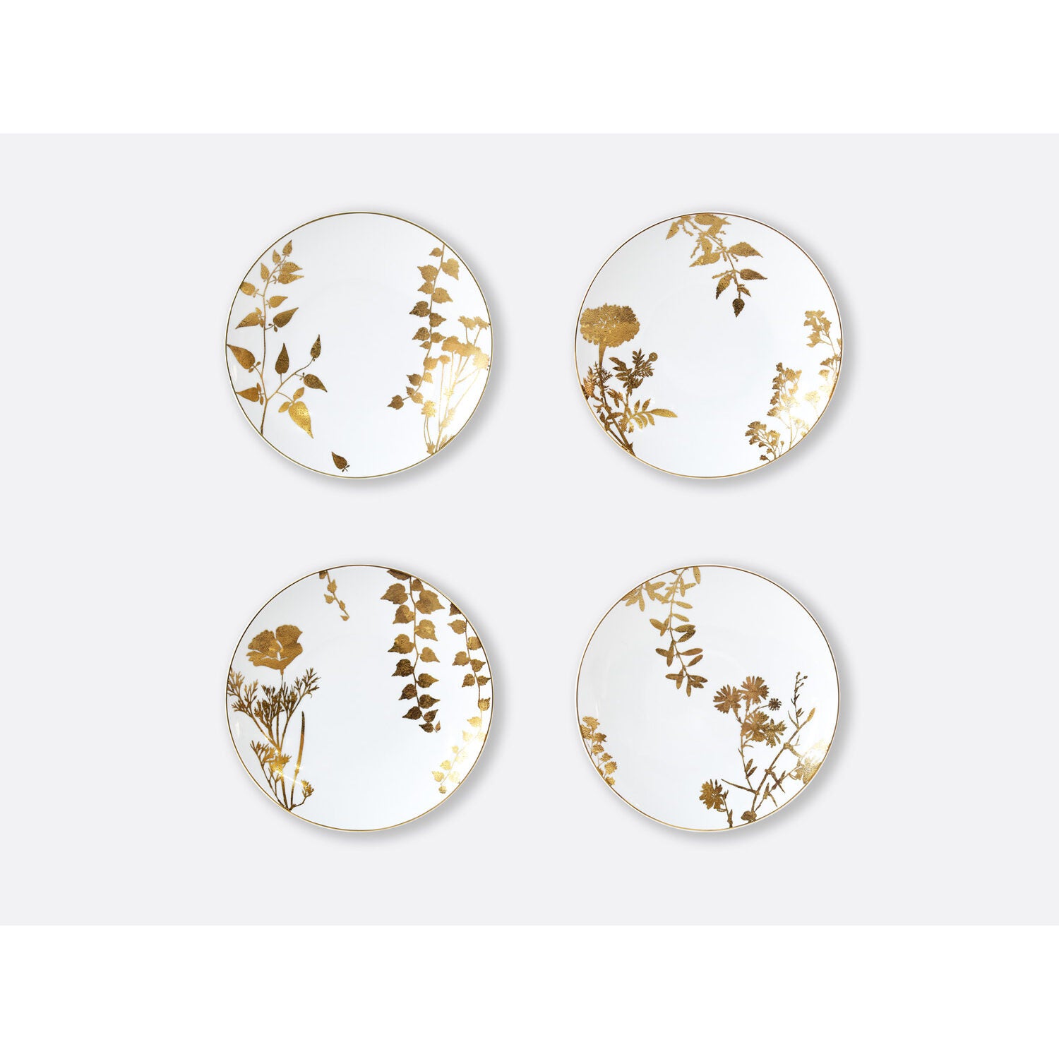 Bernardaud Set of 4 assorted salad plates 8.5", Limoges porcelain, Végétal Or collection, on a white background