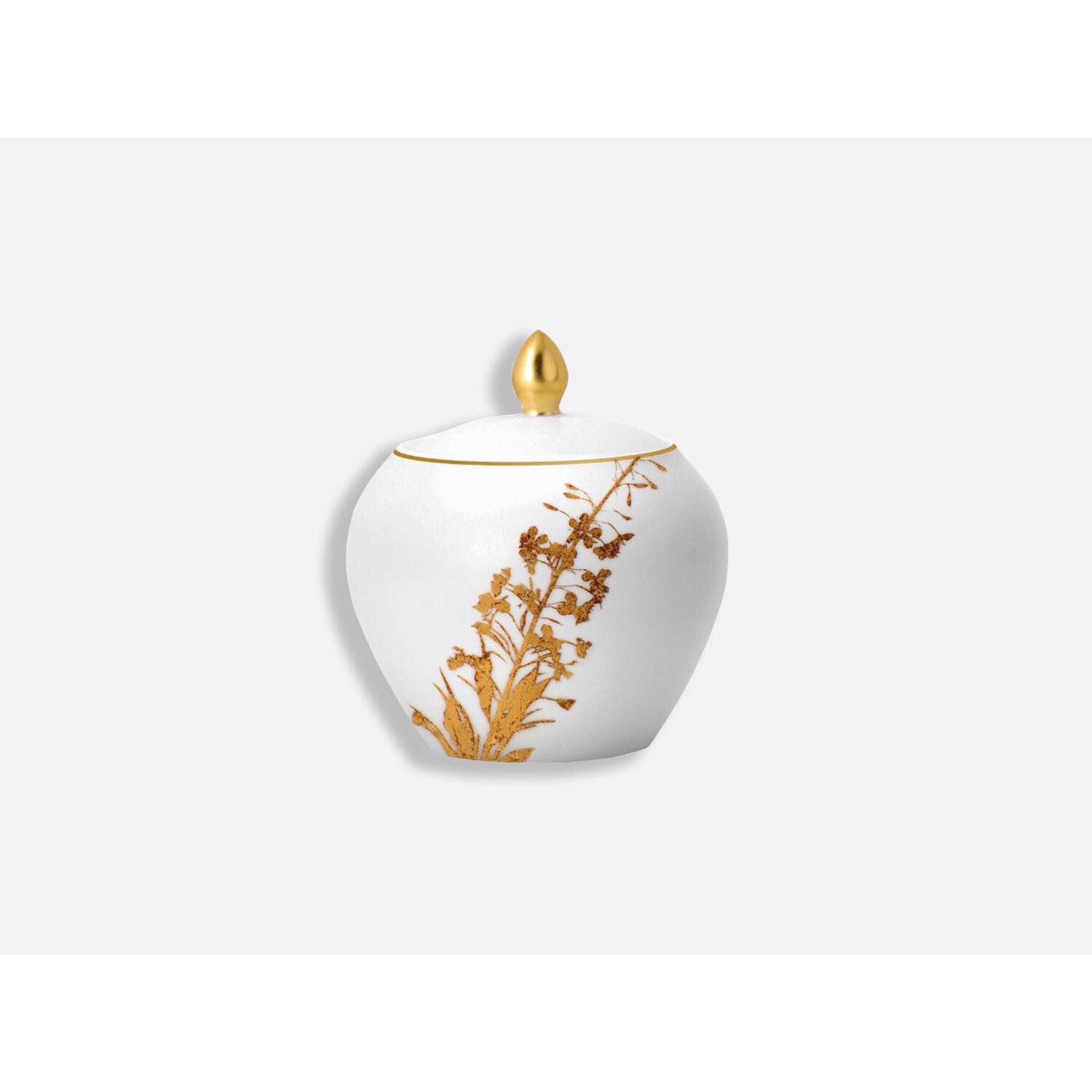 Bernardaud Sugar bowl 12 cups 10 oz, Limoges porcelain, Végétal Or collection, on a white background