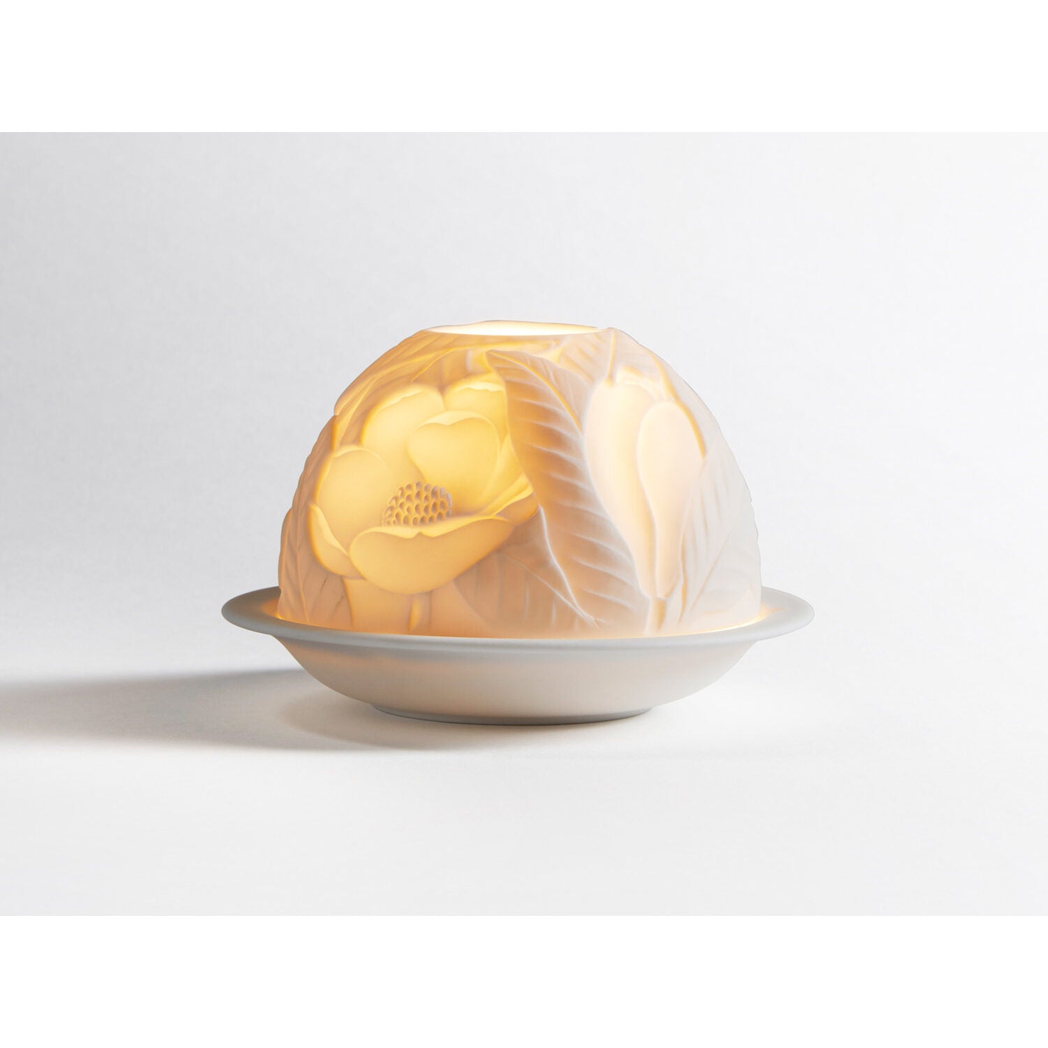 Bernardaud Magnolia blossoms, Limoges porcelain, Votivelights collection, on a white background